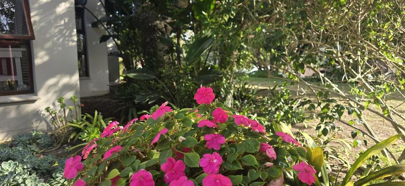 5 Bedroom Property for Sale in Hersham Western Cape